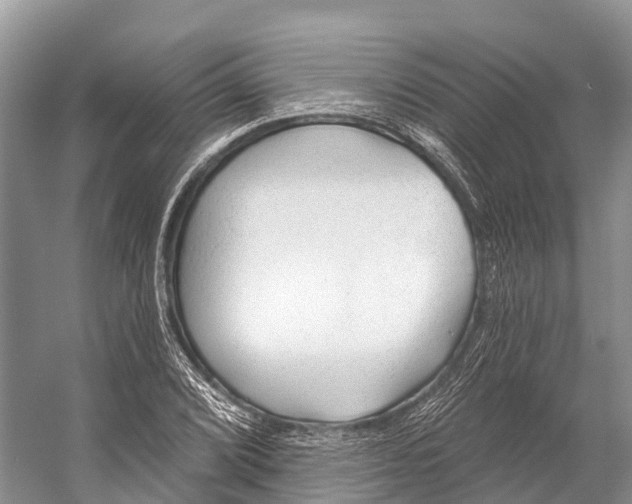 X0000053161072200508081431