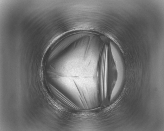 X0000053161077200508081430