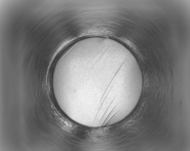 X0000053161078200508081430