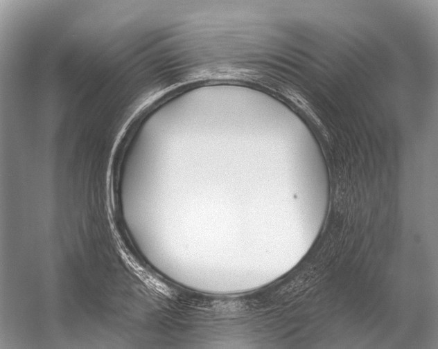 X0000053161080200508081430