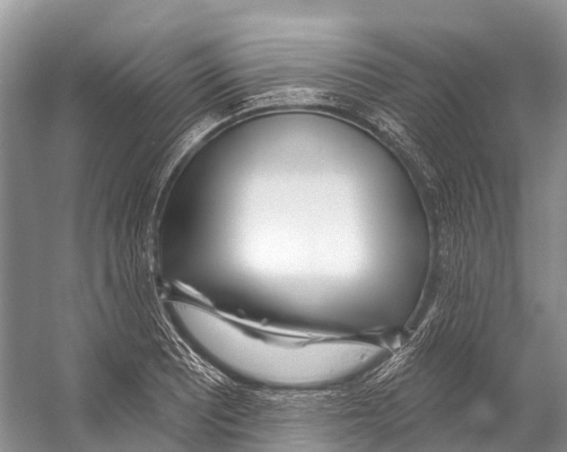 X0000053161081200508081430