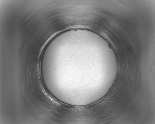 X0000053161092200508081430