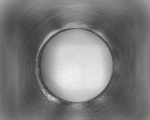 X0000053161094200508081430