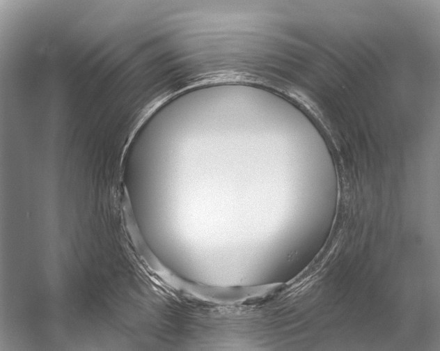 X0000053161097200508081430