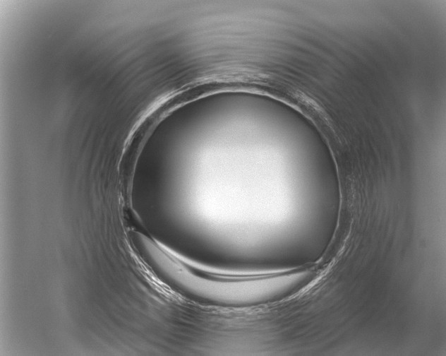 X0000053161114200508081429