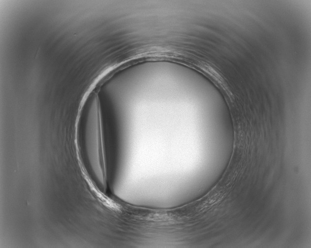 X0000053161128200508081430