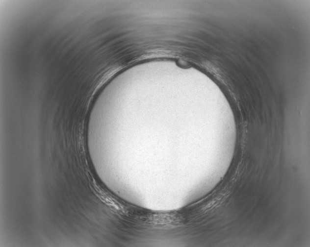 X0000053161137200508081430