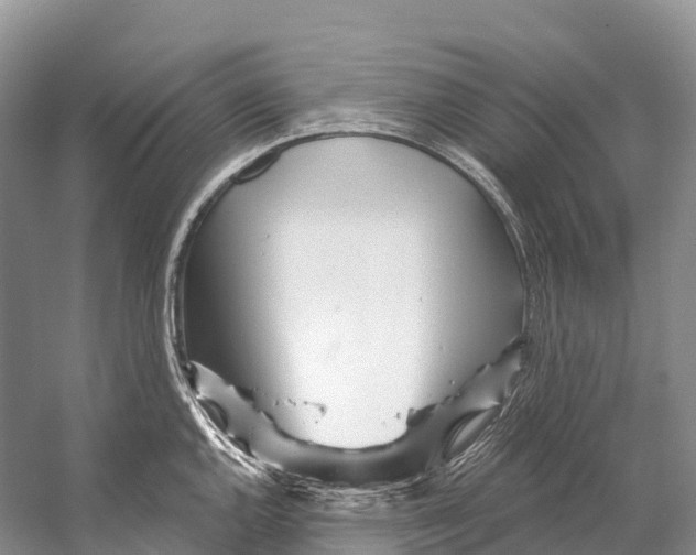 X0000053161144200508081430