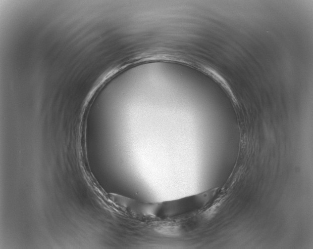 X0000053161146200508081430