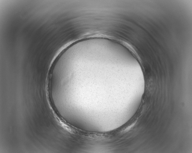 X0000053161149200508081430