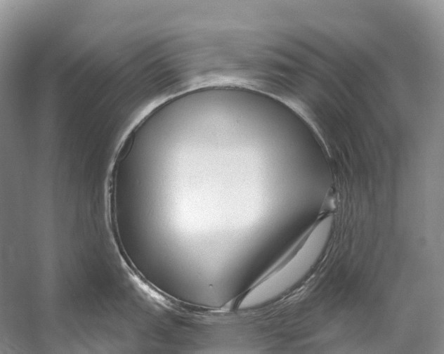 X0000053161151200508081430