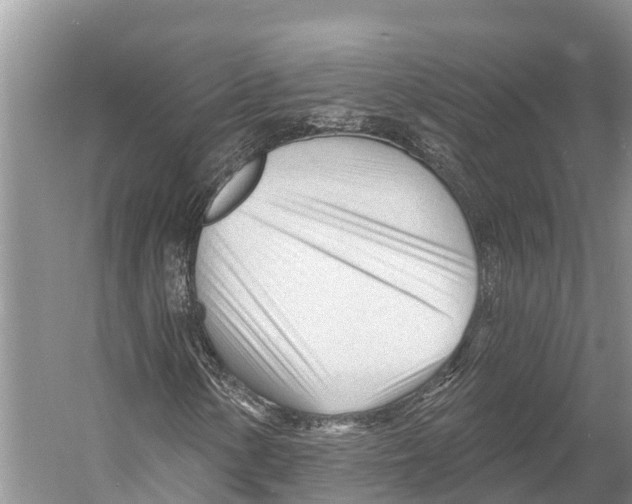 X0000053161154200508081429