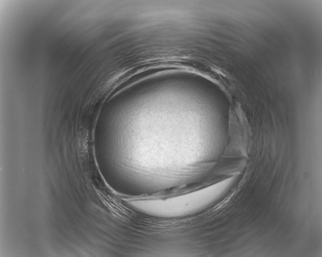 X0000053161161200508081429