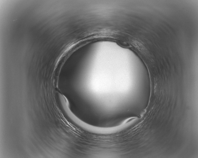 X0000053161164200508081429