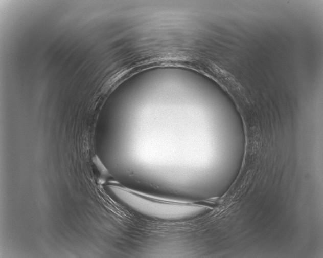 X0000053161169200508081429