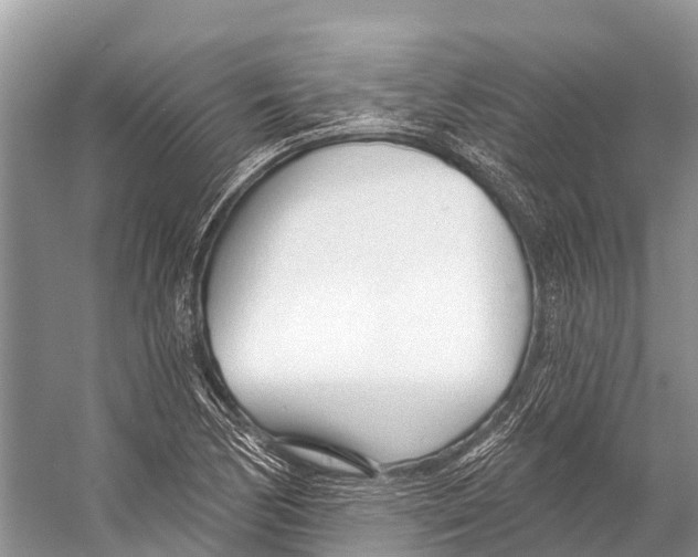 X0000053161170200508081429