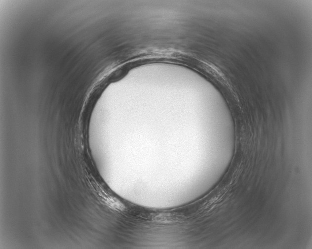 X0000053161172200508081429