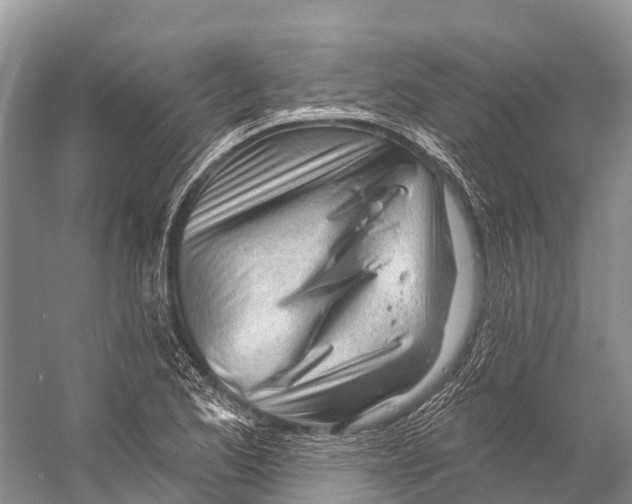 X0000053161173200508081429