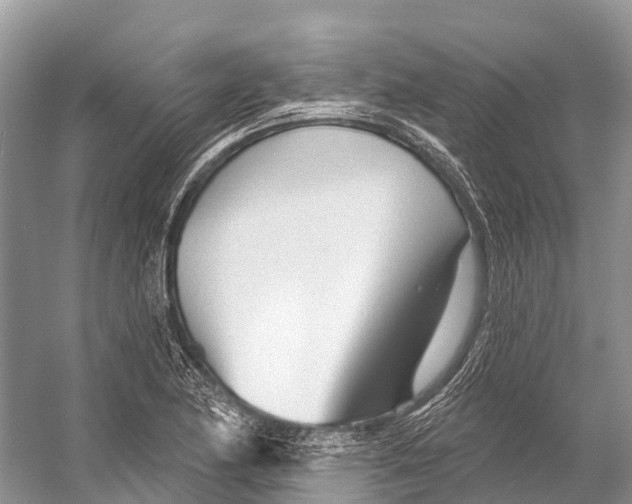 X0000053161174200508081429