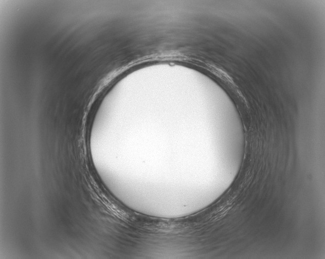 X0000053161176200508081429