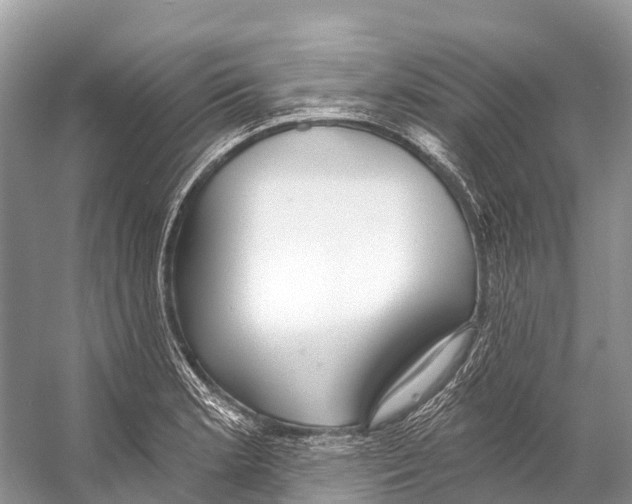X0000053161181200508081429