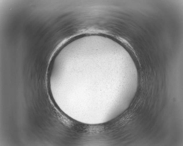 X0000053161183200508081429