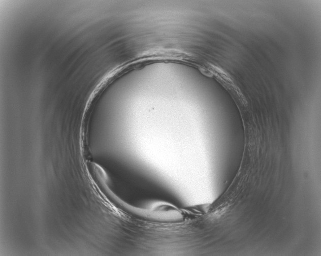 X0000053161188200508081429
