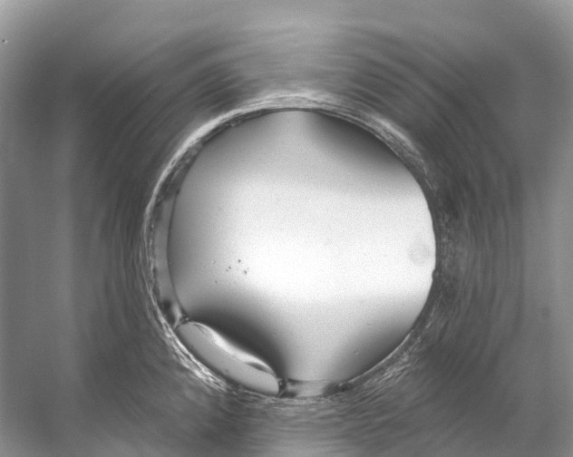 X0000053161192200508081428