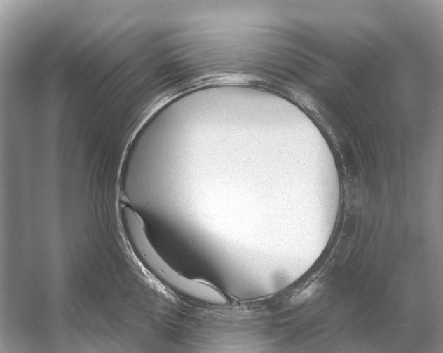 X0000053161194200508081428