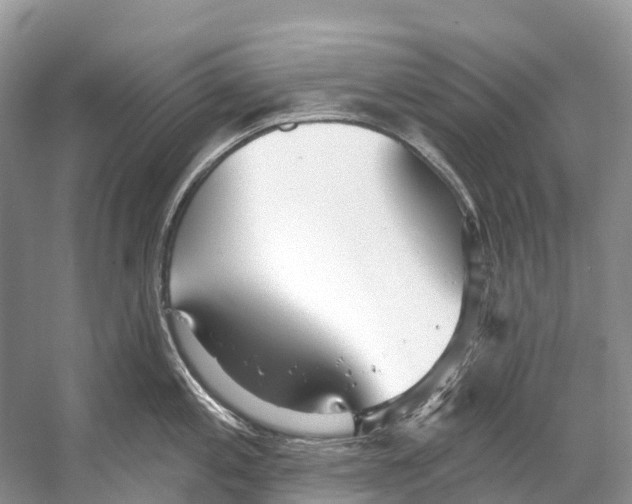 X0000053161197200508081428