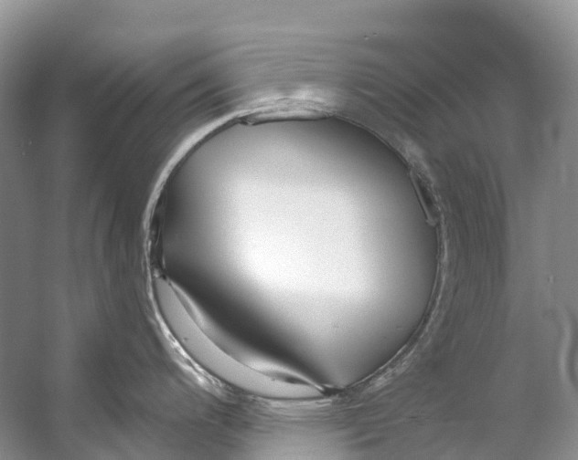 X0000053161200200508081428