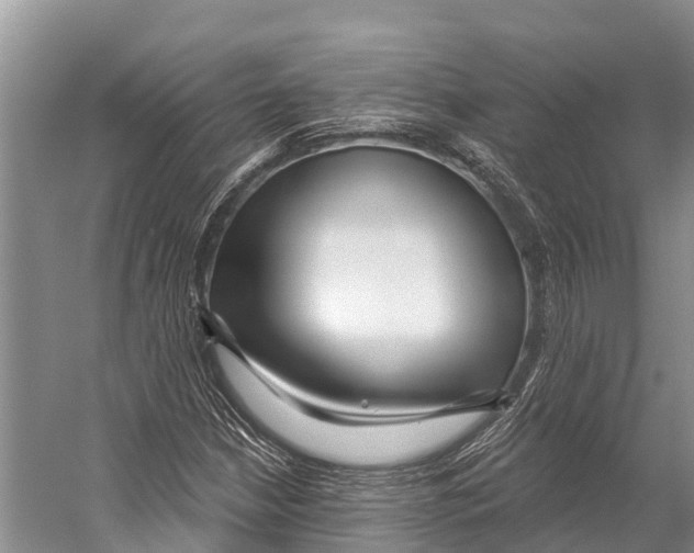 X0000053161210200508081428