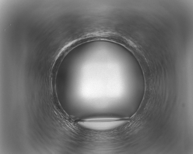 X0000053161214200508081428