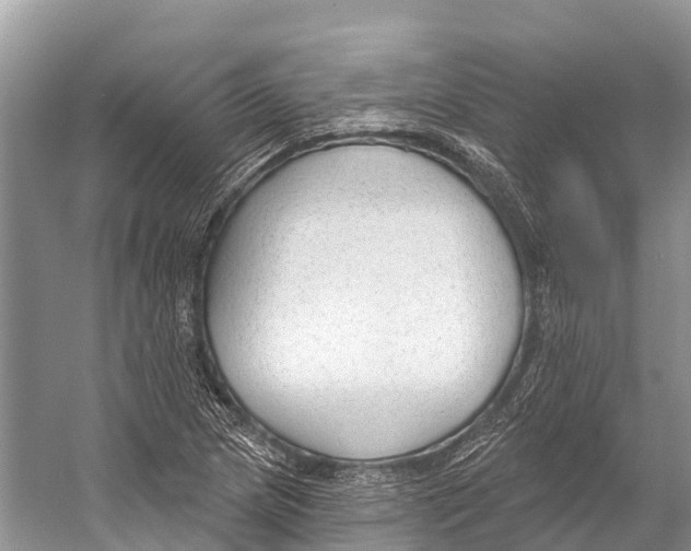 X0000053161217200508081428