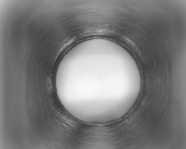 X0000053161218200508081428
