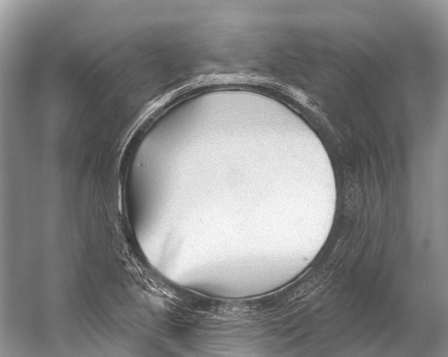X0000053161221200508081428