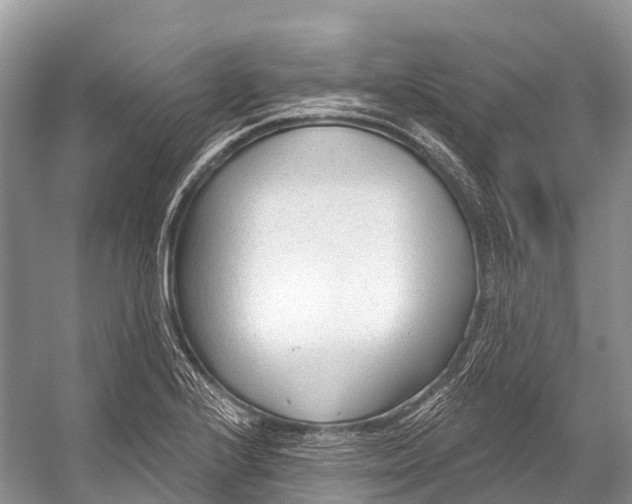 X0000053161224200508081428