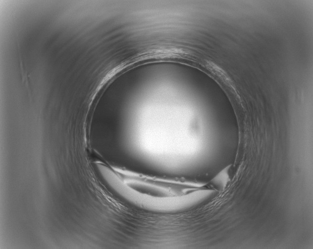 X0000053161226200508081428