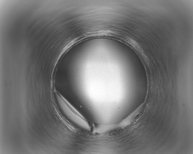 X0000053161234200508081428