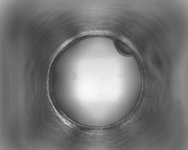 X0000053161237200508081428