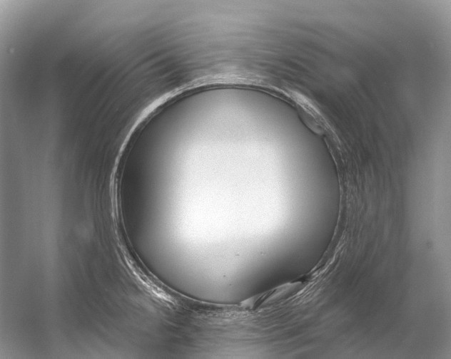 X0000053161238200508081428