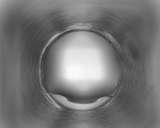 X0000053161240200508081428