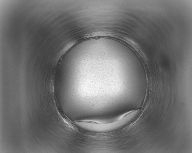 X0000053161241200508081428