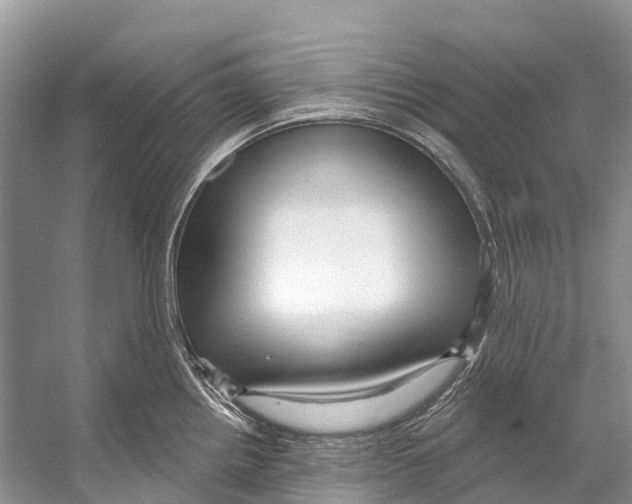 X0000053161242200508081428