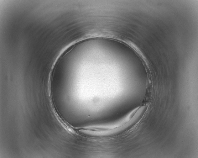 X0000053161246200508081428