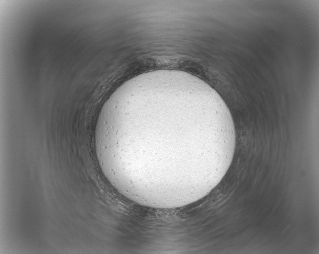 X0000053161249200508081428