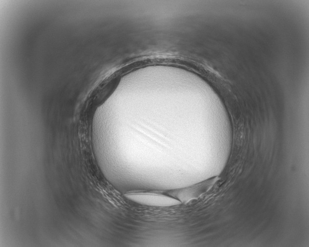 X0000053161255200508081427