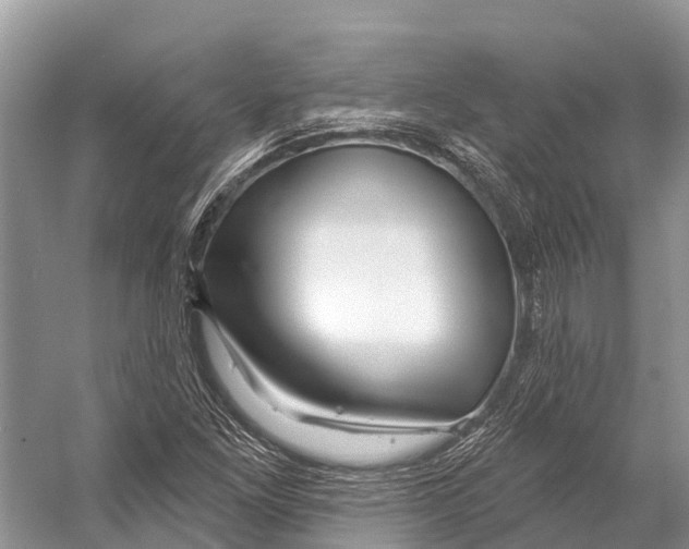 X0000053161261200508081427