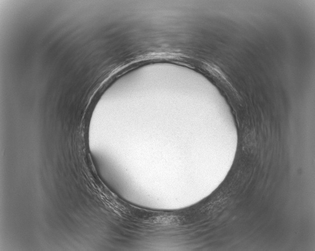 X0000053161268200508081427