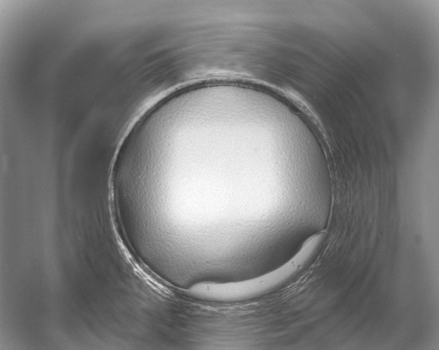 X0000053161287200508081427